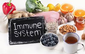 Immune System Foods